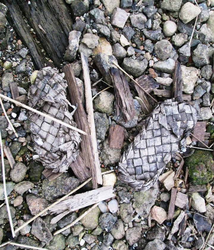 Такие разные находки. Фото: Татьяна Вавилова