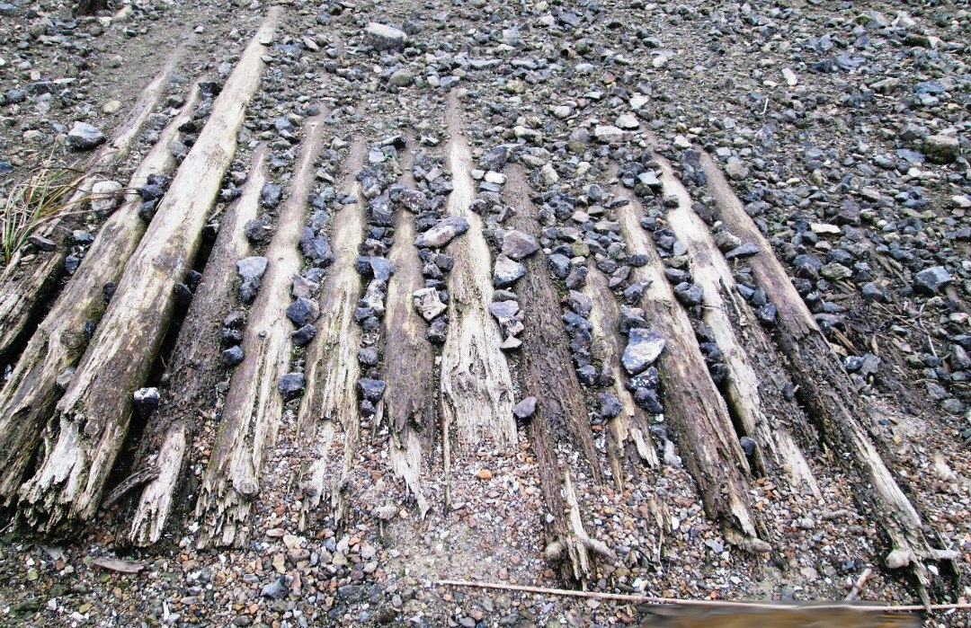 Вода ушла и обнажила старинную мостовую. Фото: Татьяна Вавилова