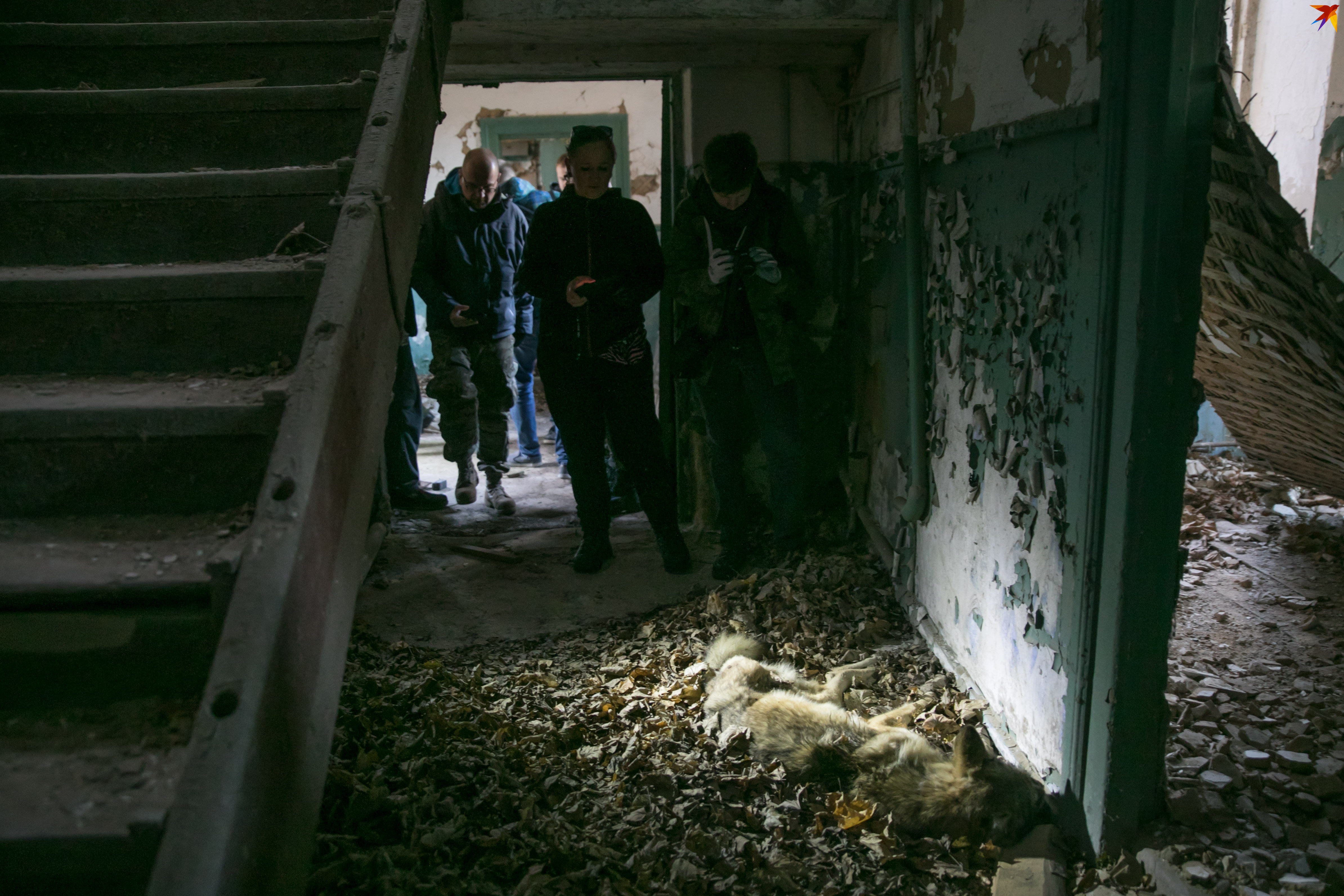 Неожиданная находка.