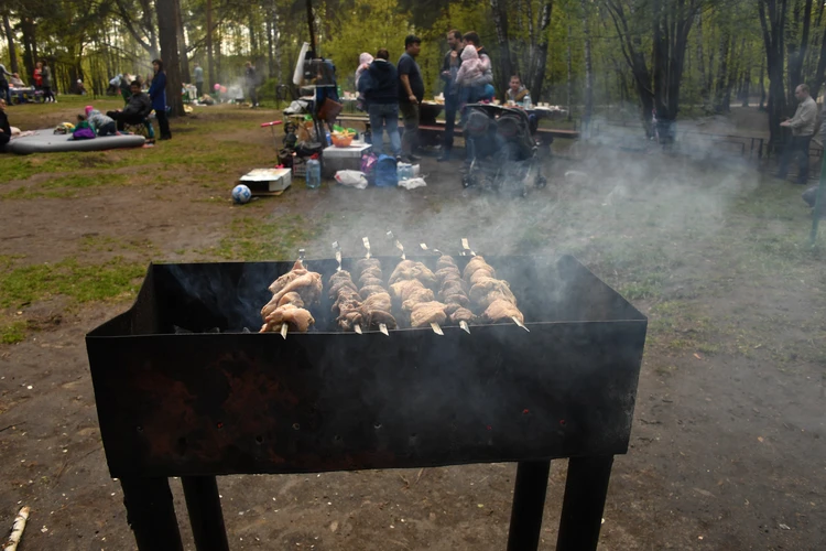 Пикник в городе: 7 лучших мест для отдыха на природе