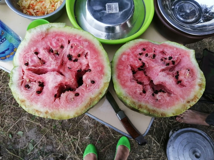 Как не отравиться черешней, рассказали нижегородцам