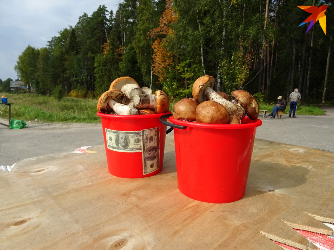 Здесь нормально, когда дети сами себя к школе собирают