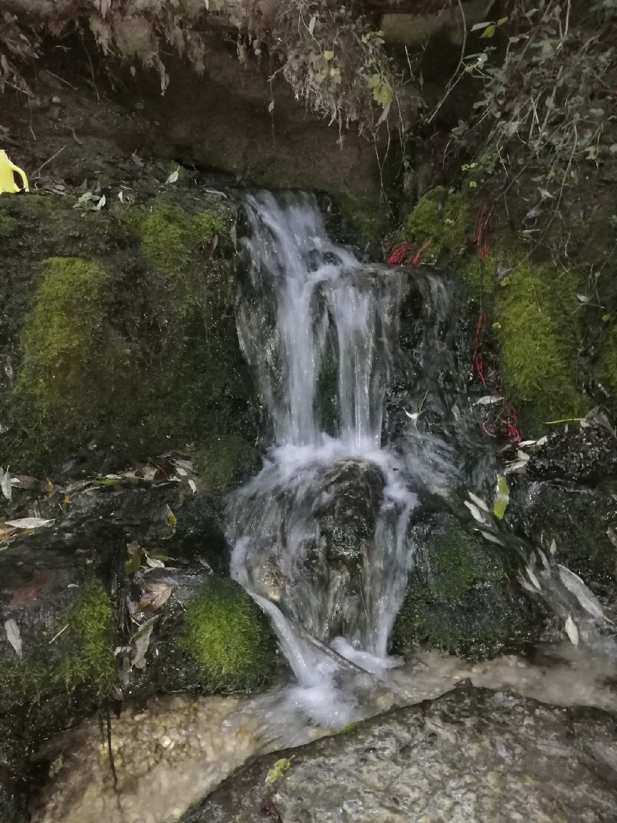 Усадьба у водопада