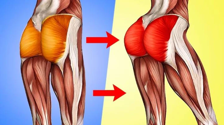 Упражнения для ягодиц: как накачать ягодичную мышцу девушке или мужчине | Блог Spirit. Fitness