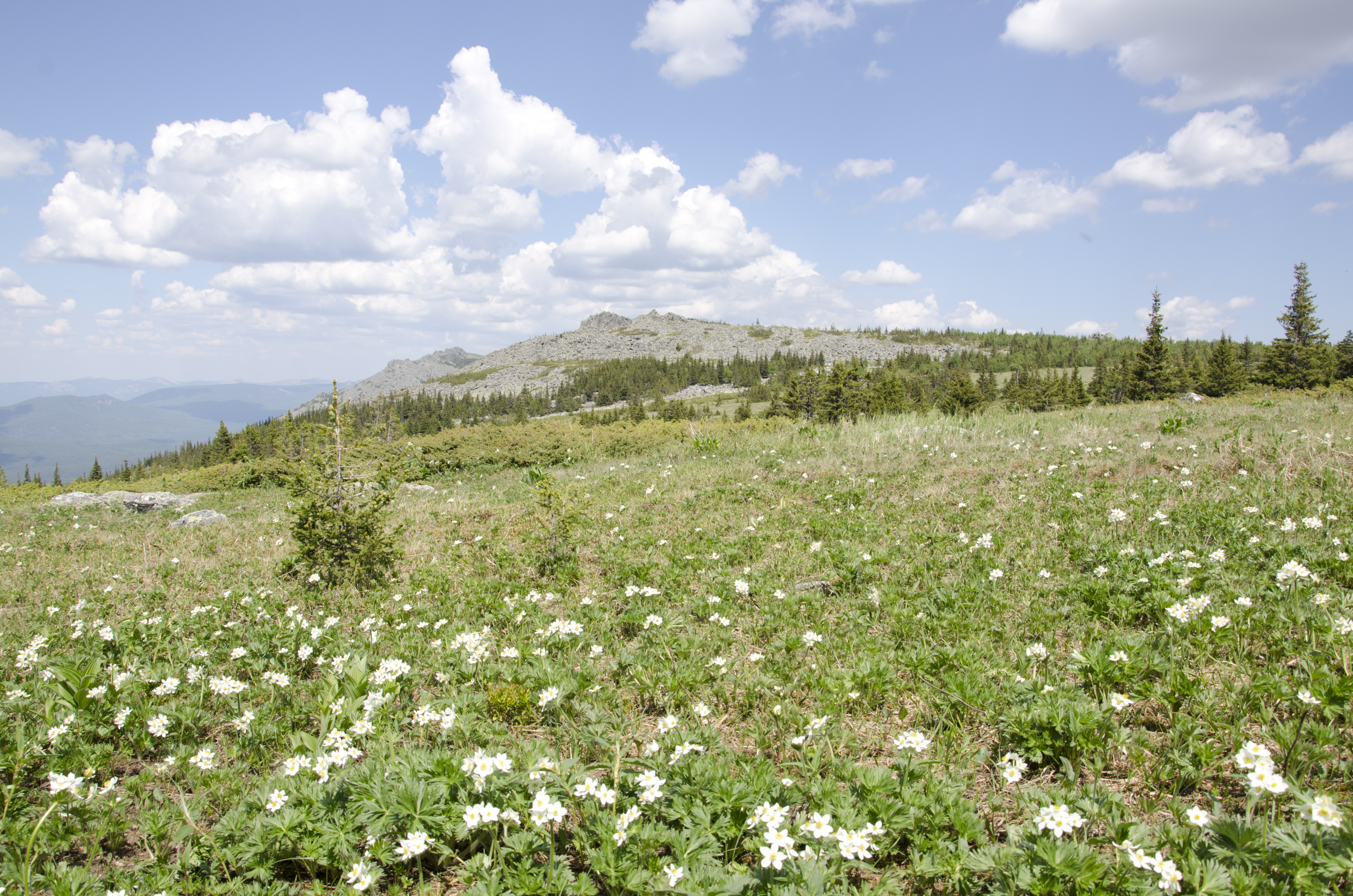 Иремель Фото: Андрей КУЗЬМИН