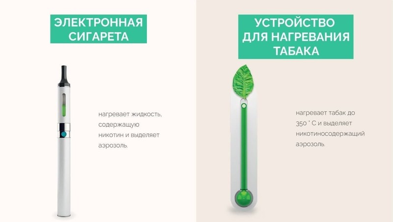 Фото: Публика ТВ