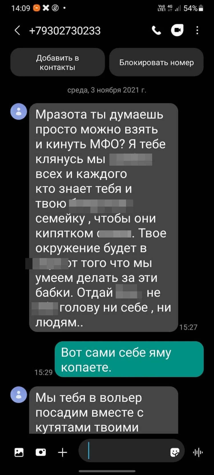 Сунешься к ментам — подорву школу твоей мамочки»: в Новосибирске коллекторы пригрозили девушке терактом - KP.RU