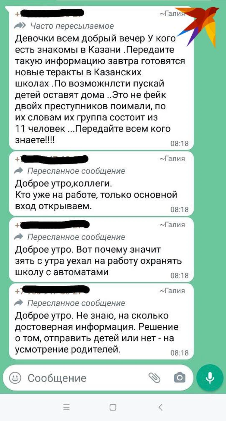 Зять уехал охранять школу с автоматом»: в Казани начали рассылать фейковые  сообщения о готовящихся нападениях на детей - KP.RU