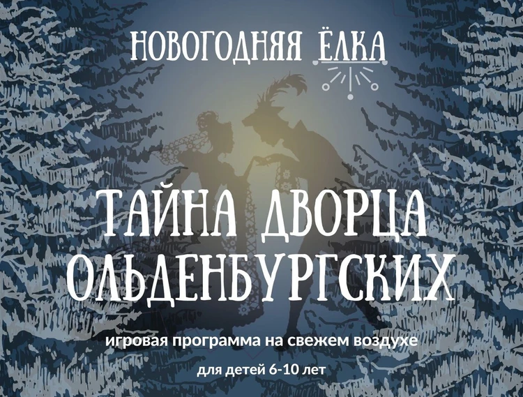 Воронеж Новогодние Представления В Тюзе