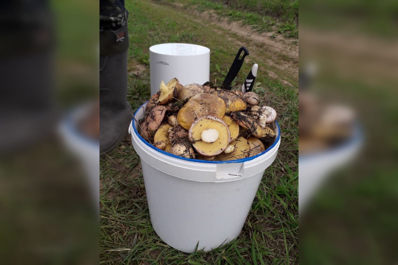 Foto: Evgeny Poryadin