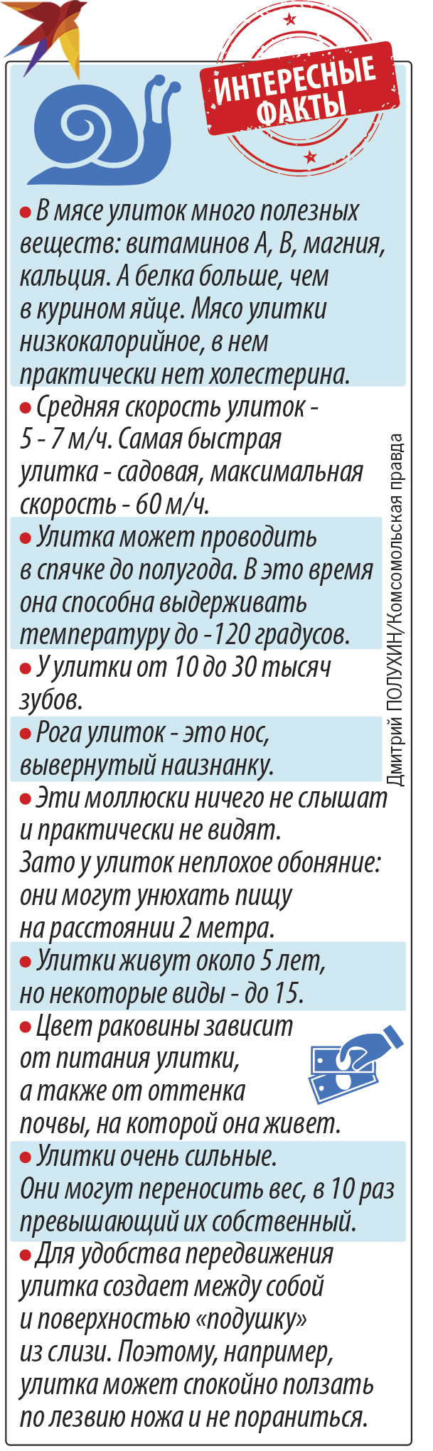 Интересные факты.