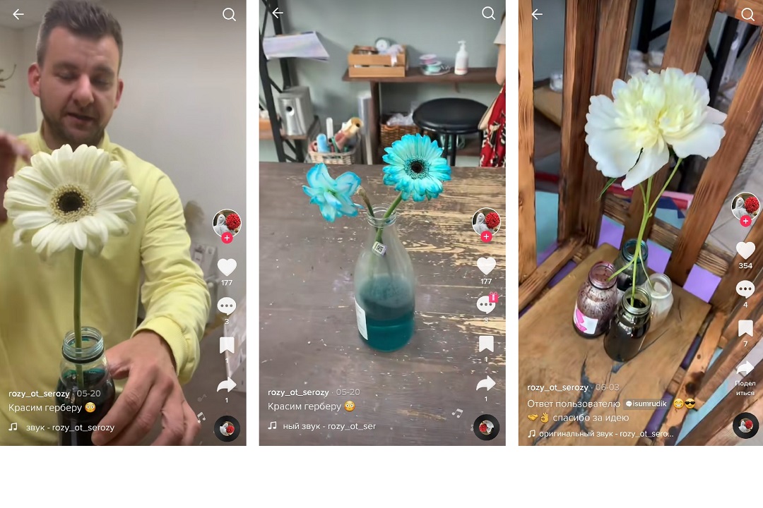 Květinářka řekla, jak se správně starat o květiny. Foto: TikTok @rozy_ot_serozy