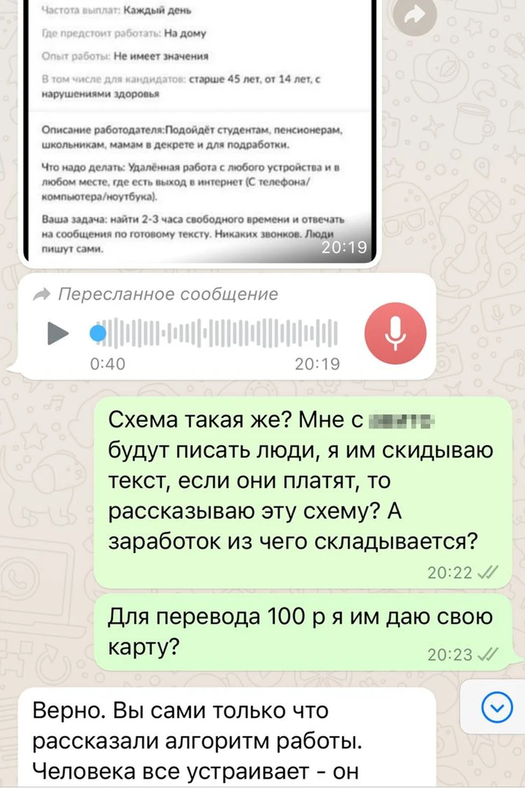 Триста тысяч в месяц, нужен только ноутбук»: как разводят на удаленной  работе в интернете – нам еще и приплатить пришлось - KP.RU