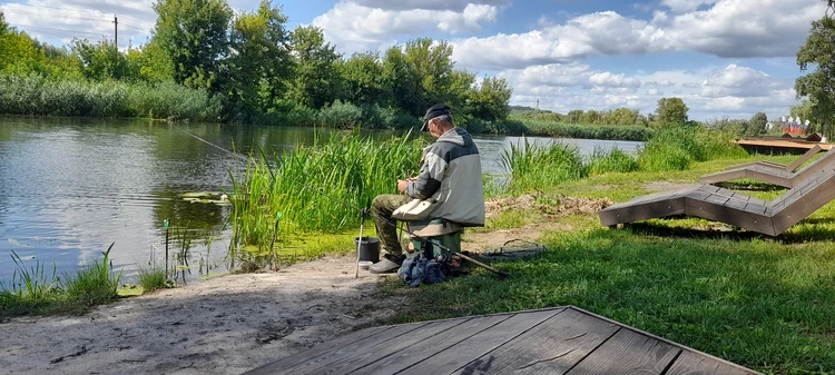 Сексуалдық бейне сериясы