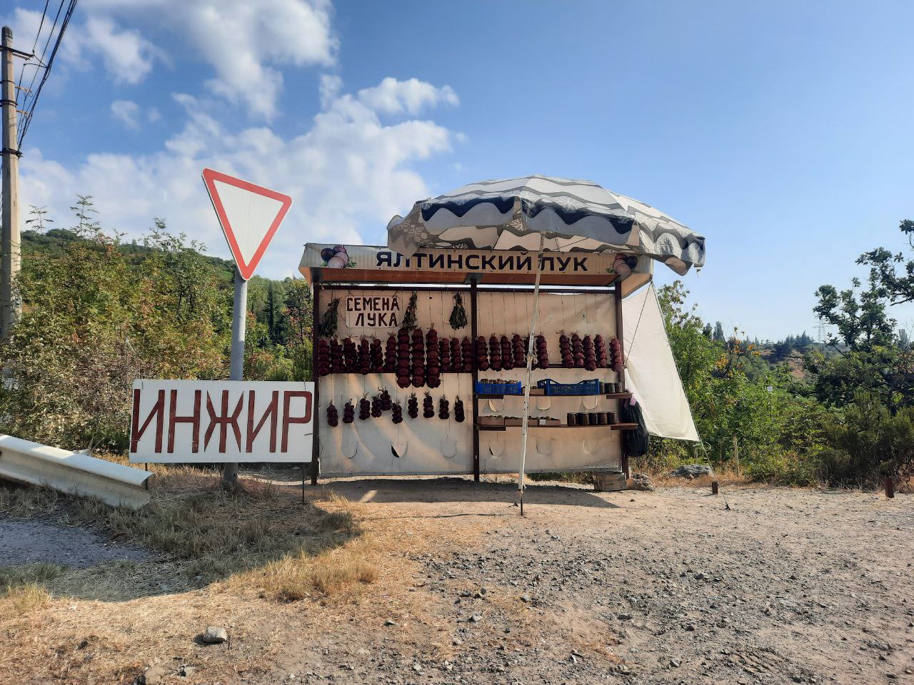 Лук сорт ялтинский