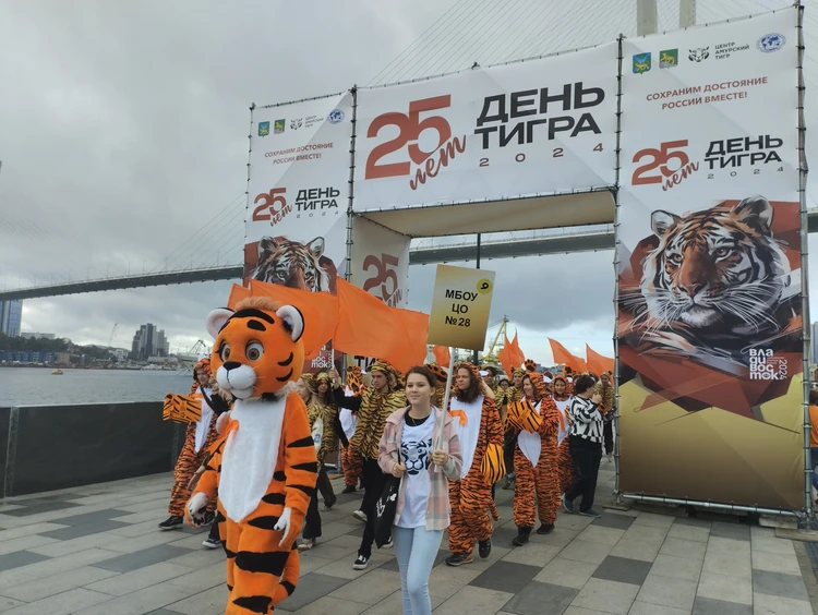 Сіз менің аузыма кіресіз