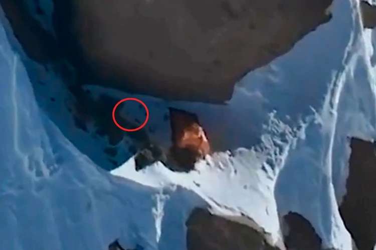 ������ 19 ������� - ������� � ������� ���. ����: �������� ����� ������ �����������