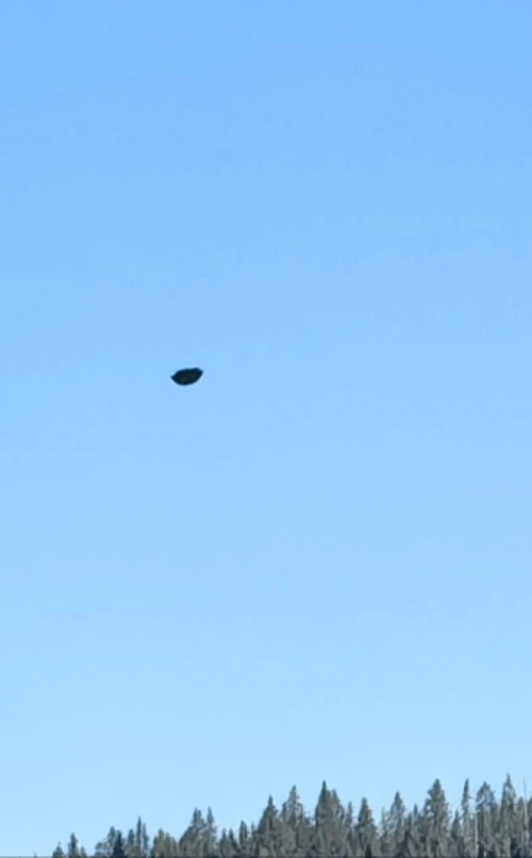 Фото предоставлено Алексеем Артемовым