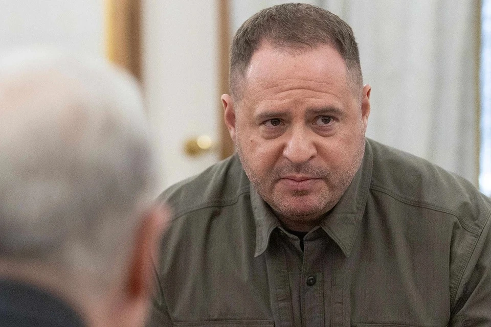 Центральный эпизод подозрения - проект «Династия» в поселке Козин под Киевом.