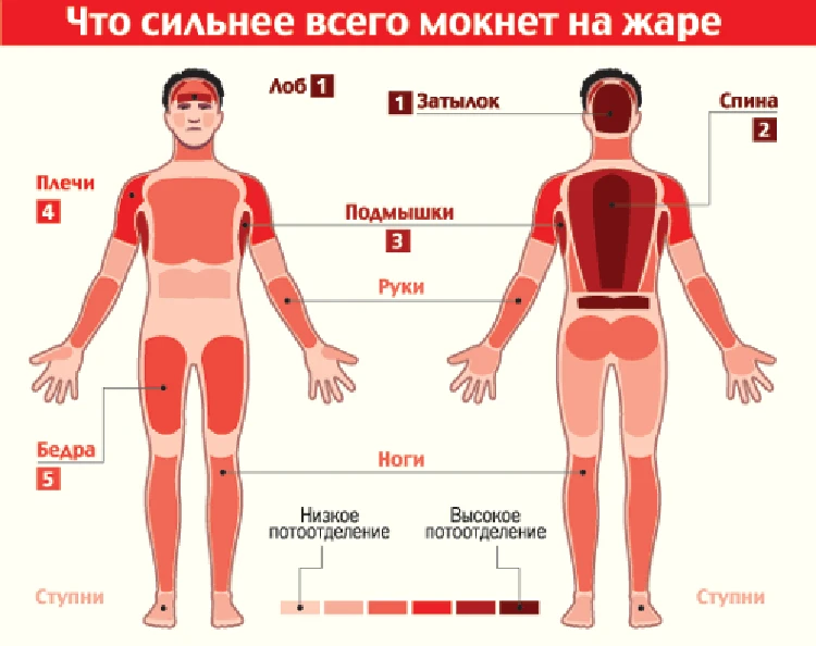 Одежду какой ткани нужно выбирать чтобы не потеть