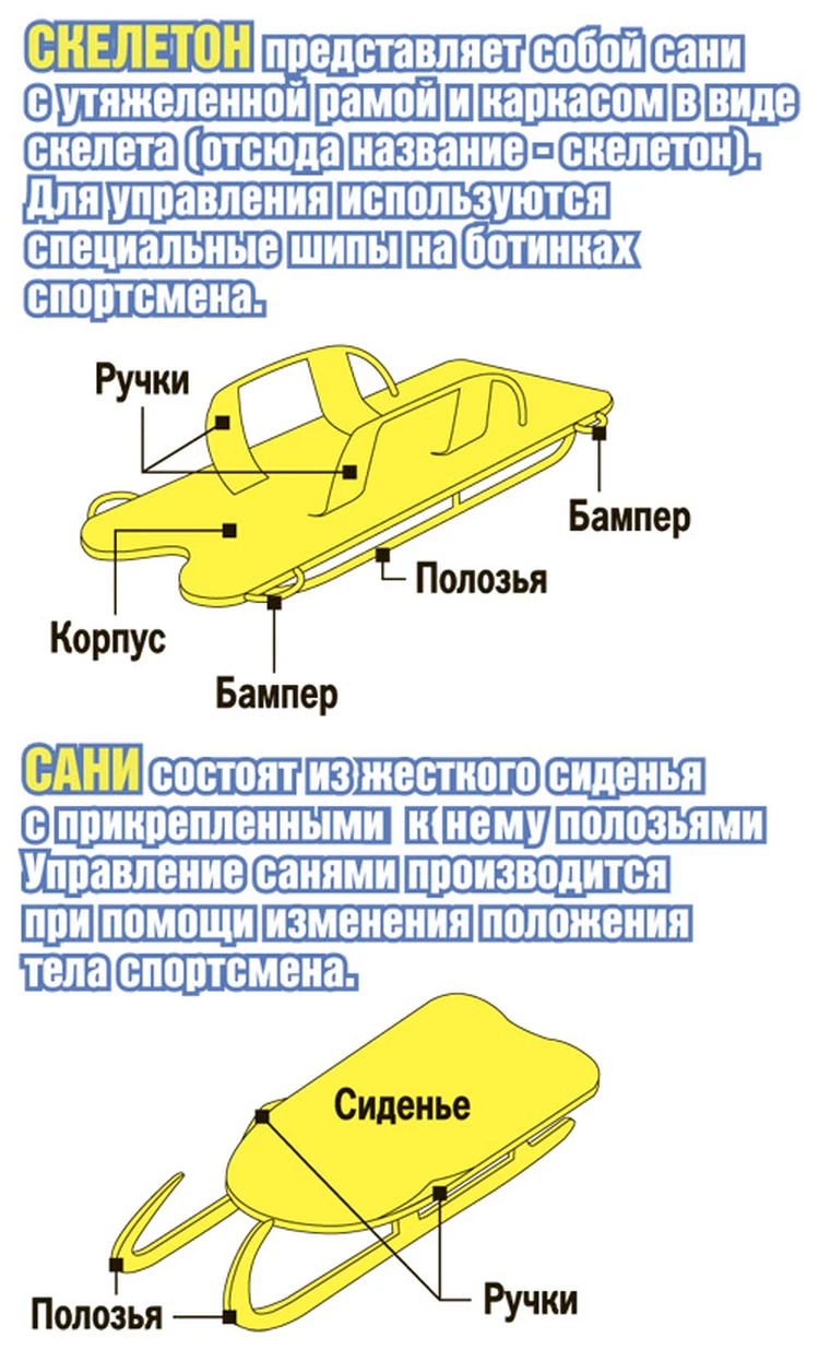 Сани и скелетон - KP.RU