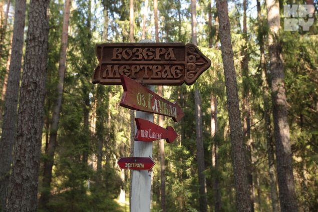 Экотропа в Национальном парке