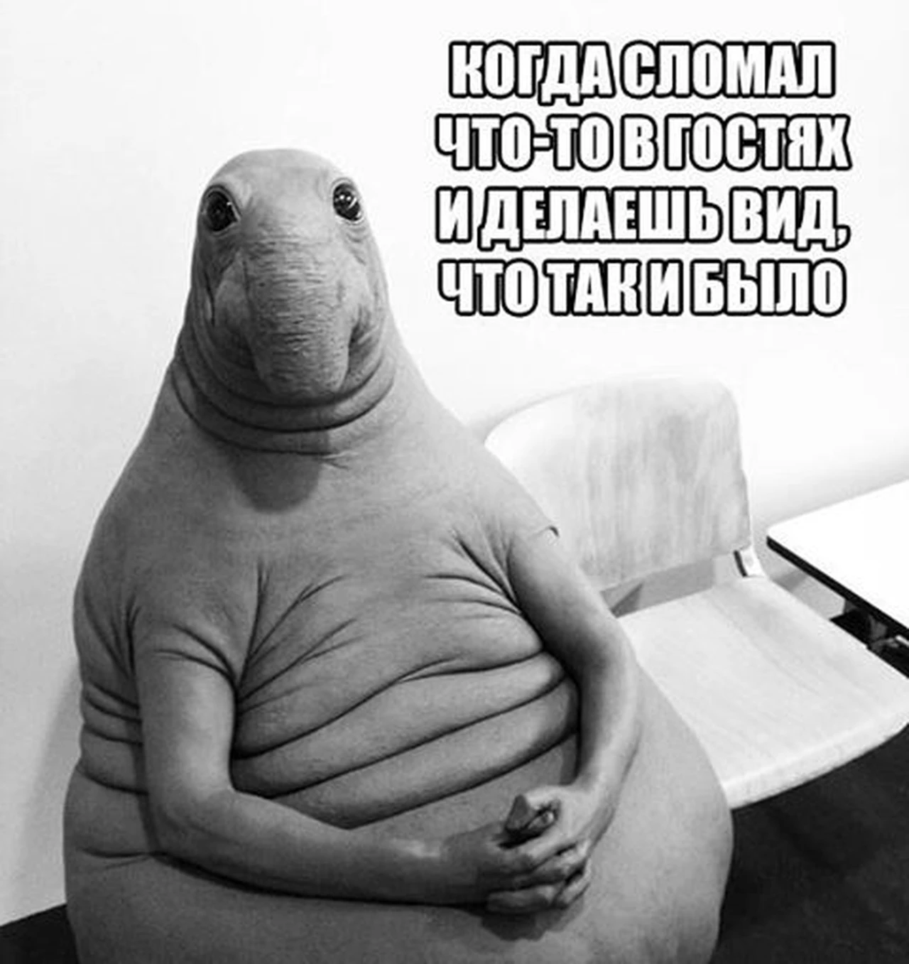 Версия: 